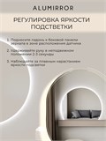 Зеркало настенное 80х60 холодный свет 6000К фигурное с подсветкой М9 ALUMIRROR М9_80x60_BL_CTRL_бесконтактный_сенсор_LIGHT_холодный